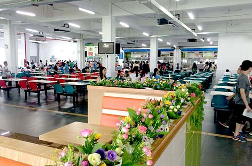 提供工廠飯?zhí)贸邪慕?jīng)營(yíng)方案和經(jīng)營(yíng)內(nèi)容